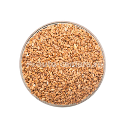 Солод пшеничный, 1 кг